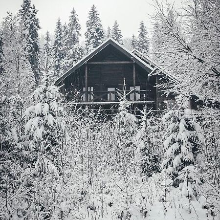 Chalet Shepit Karpat 부코벨 외부 사진