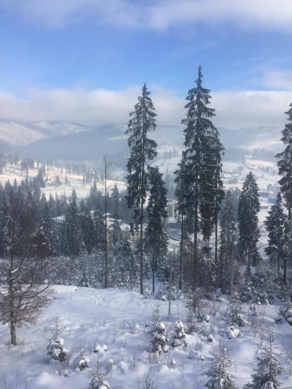 Chalet Shepit Karpat 부코벨 외부 사진