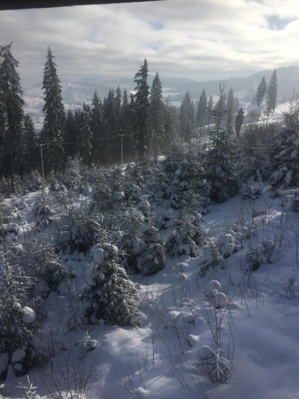 Chalet Shepit Karpat 부코벨 외부 사진