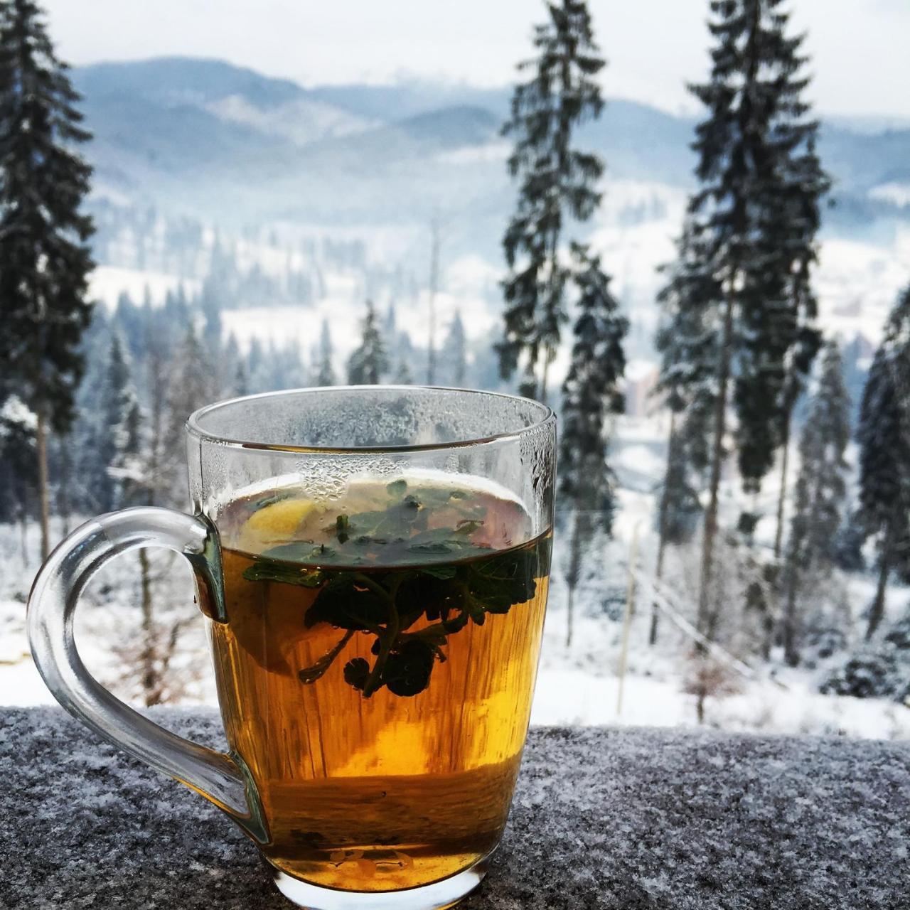 Chalet Shepit Karpat 부코벨 외부 사진