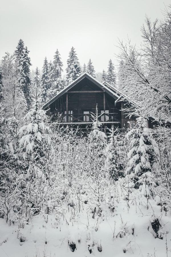 Chalet Shepit Karpat 부코벨 외부 사진