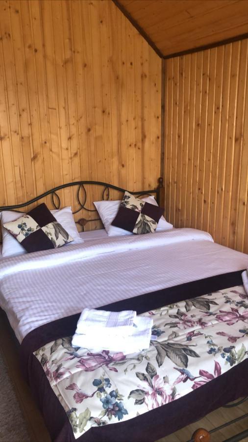 Chalet Shepit Karpat 부코벨 외부 사진