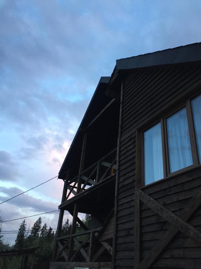 Chalet Shepit Karpat 부코벨 외부 사진